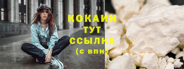 гашик Сатка